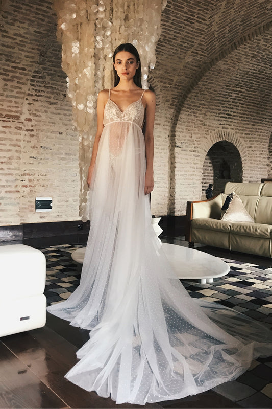 AMIRA 